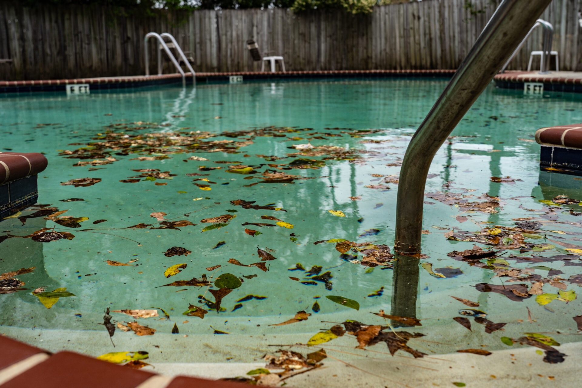 Dirty pool covered in leaves