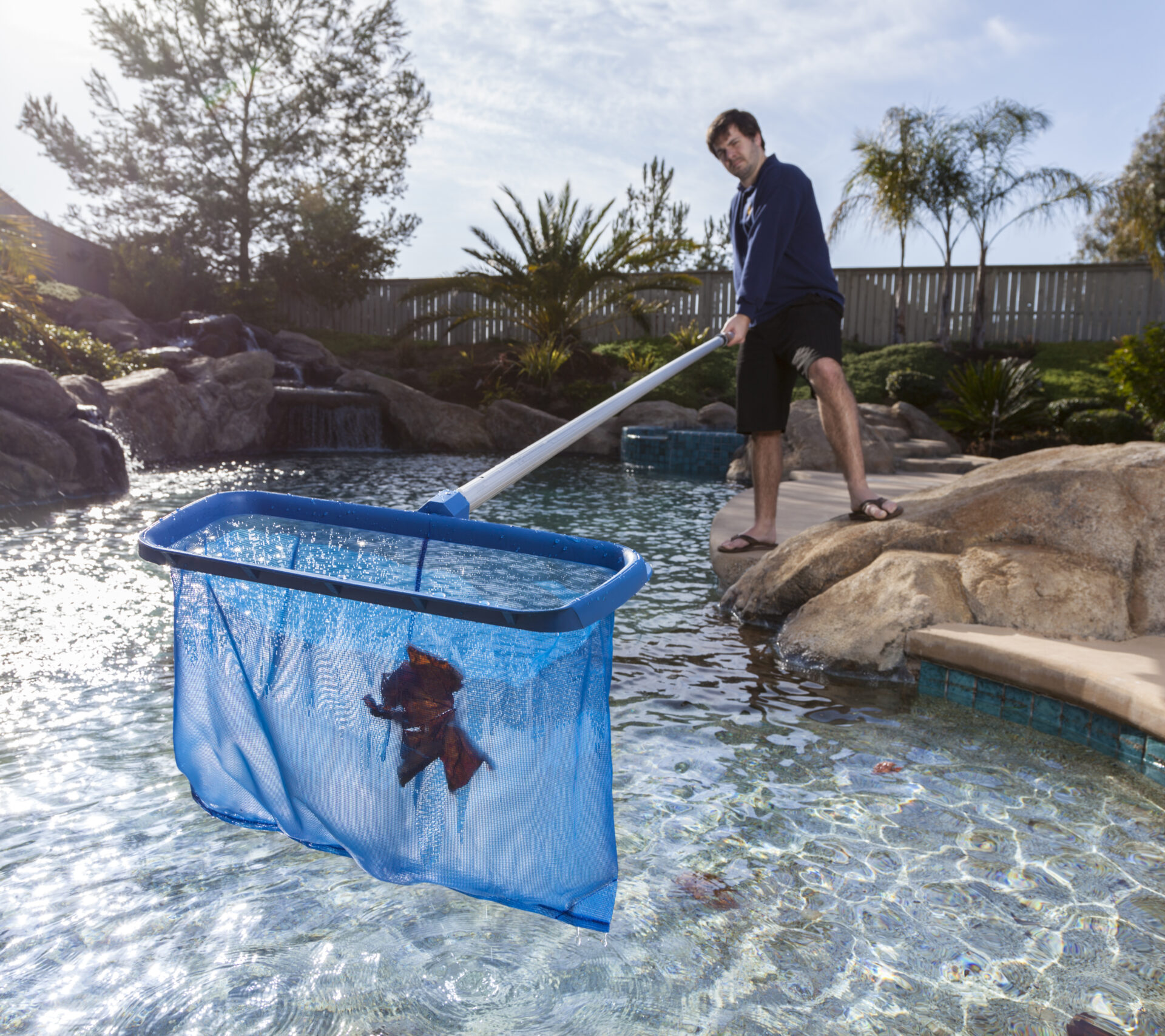 Man cleaning swimming pool with net. Removing leaves.