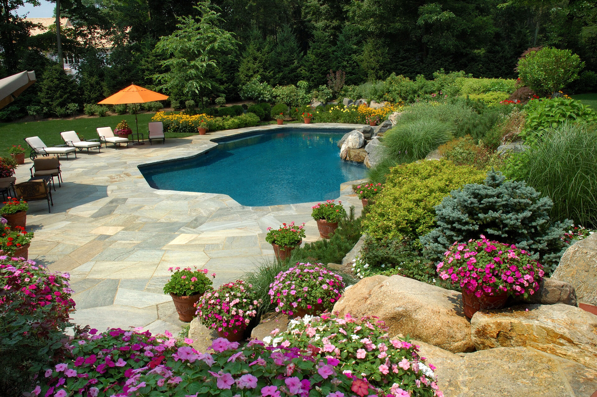 Backyard pool surrounded by lush landscaping, natural stone patio, flowering planters, mature trees, and a mix of shrubs and boulders with lounge chairs and an orange umbrella in the background.
