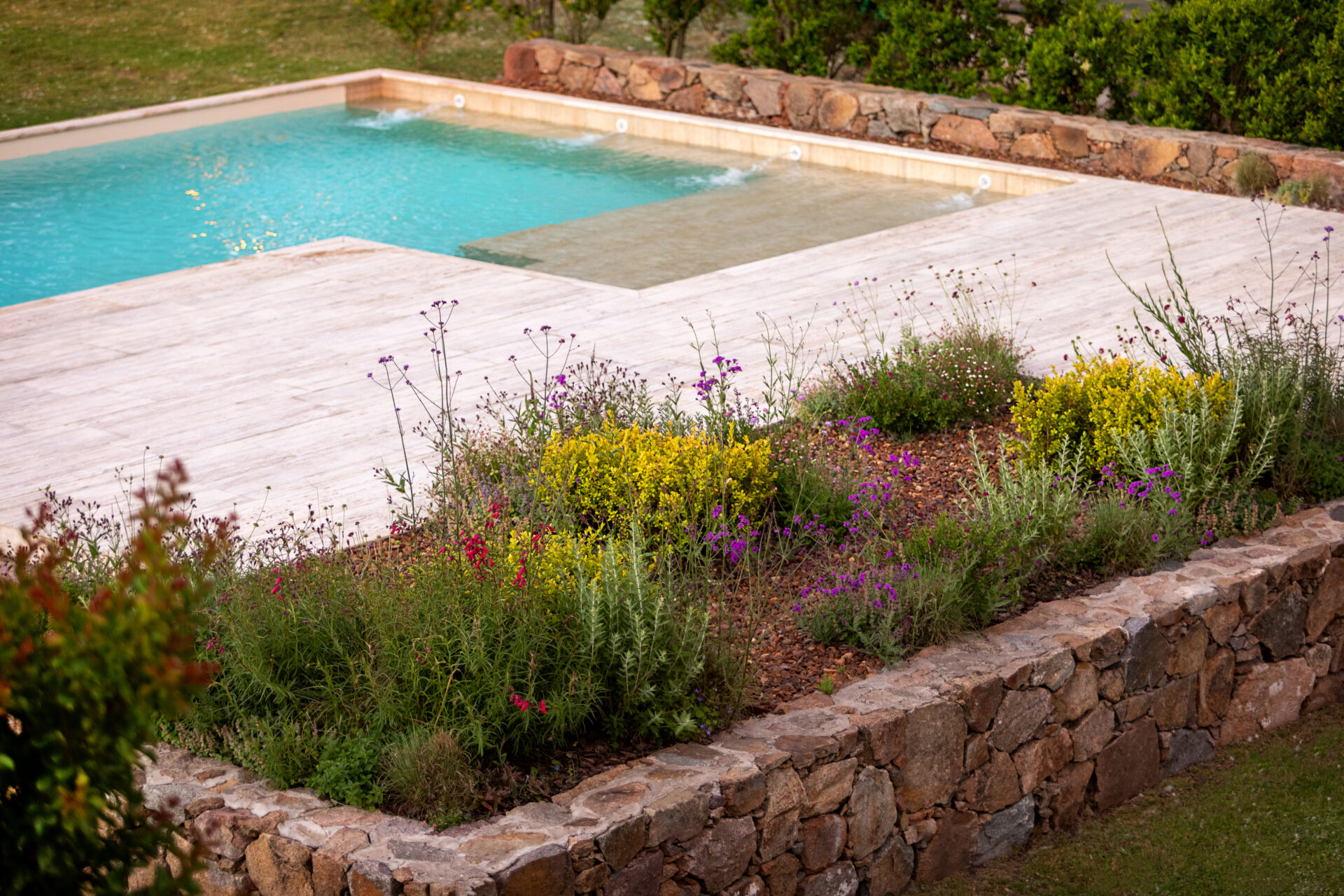 Natural stone retaining wall with vibrant wildflowers and low-maintenance shrubs, set beside a turquoise rectangular swimming pool with a shallow lounging area and light stone patio.